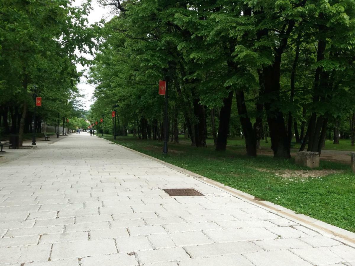 Apartments Mirkovic Cetinje Buitenkant foto
